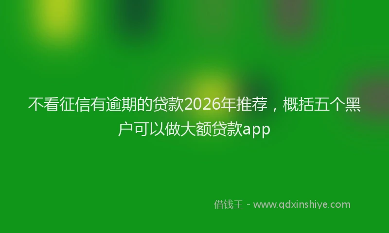 不看征信有逾期的贷款2026年推荐，概括五个黑户可以做大额贷款app