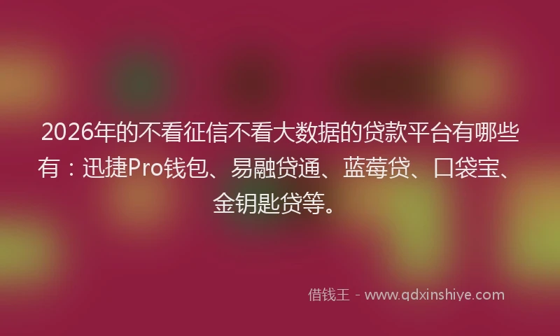 2026年的不看征信不看大数据的贷款平台有哪些有：迅捷Pro钱包、易融贷通、蓝莓贷、口袋宝、金钥匙贷等。