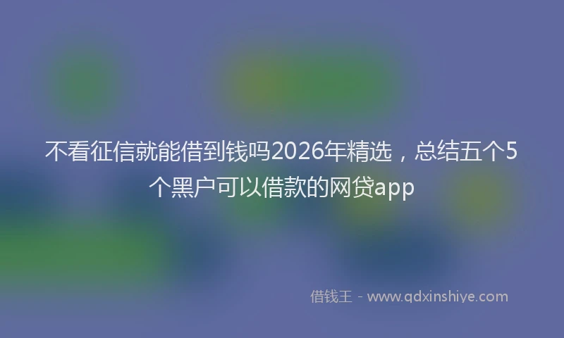 不看征信就能借到钱吗2026年精选，总结五个5个黑户可以借款的网贷app