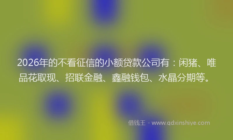 2026年的不看征信的小额贷款公司有：闲猪、唯品花取现、招联金融、鑫融钱包、水晶分期等。