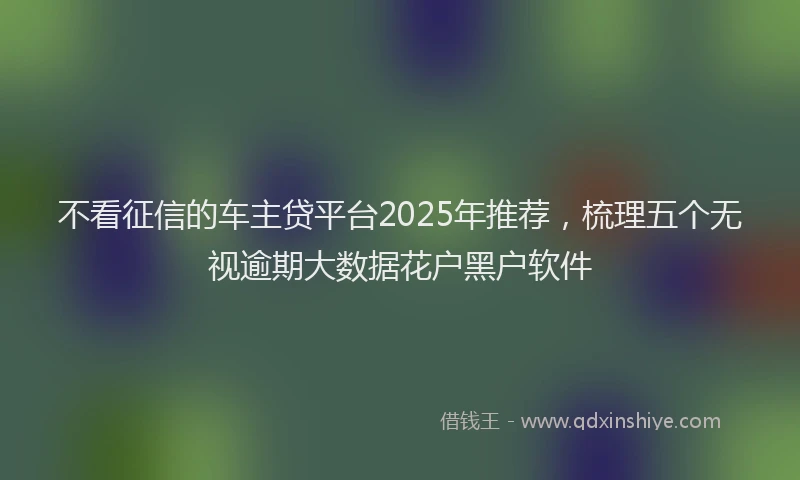 不看征信的车主贷平台2025年推荐，梳理五个无视逾期大数据花户黑户软件