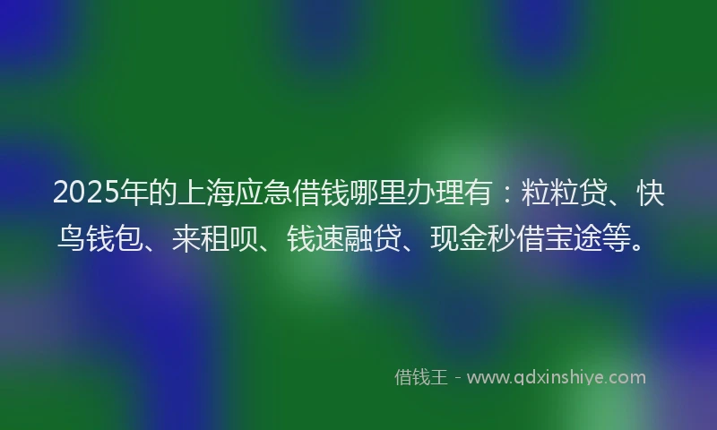 2025年的上海应急借钱哪里办理有：粒粒贷、快鸟钱包、来租呗、钱速融贷、现金秒借宝途等。