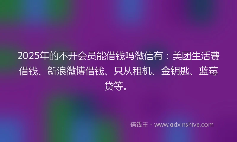 2025年的不开会员能借钱吗微信有：美团生活费借钱、新浪微博借钱、只从租机、金钥匙、蓝莓贷等。