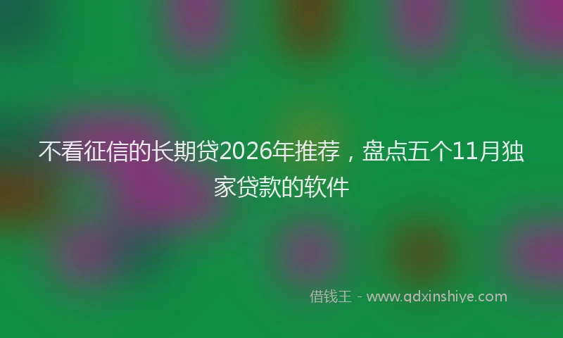 不看征信的长期贷2026年推荐，盘点五个11月独家贷款的软件