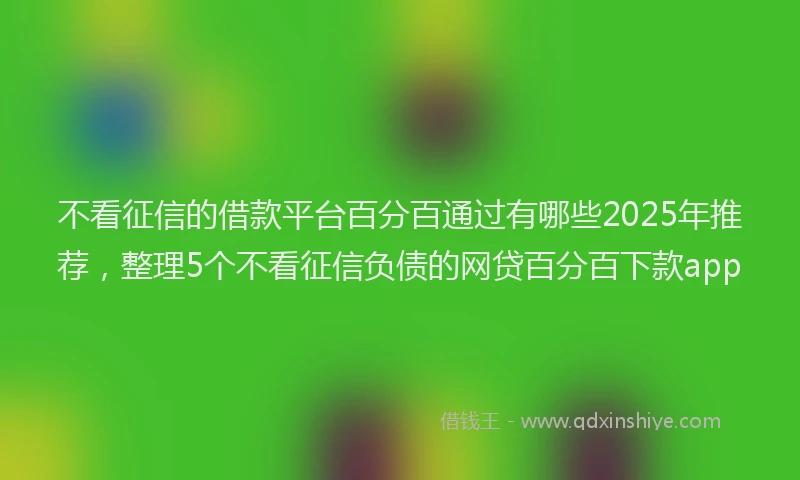 不看征信的借款平台百分百通过有哪些2025年推荐，整理5个不看征信负债的网贷百分百下款app