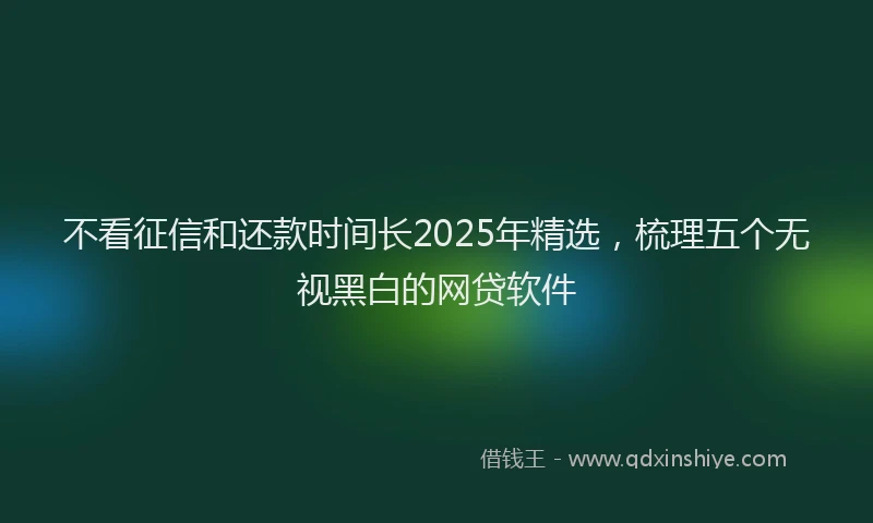 不看征信和还款时间长2025年精选，梳理五个无视黑白的网贷软件