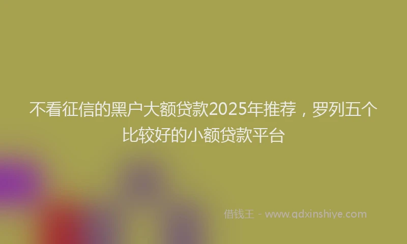 不看征信的黑户大额贷款2025年推荐，罗列五个比较好的小额贷款平台