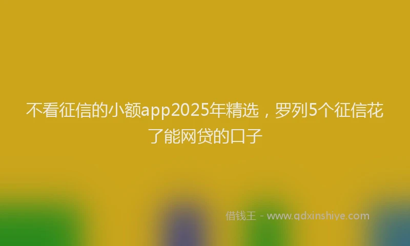 不看征信的小额app2025年精选，罗列5个征信花了能网贷的口子