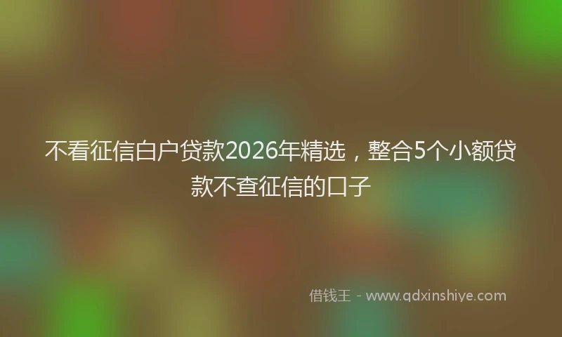 不看征信白户贷款2026年精选,整合5个小额贷款不查征信的口子