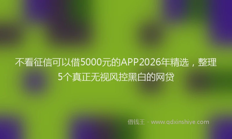 不看征信可以借5000元的APP2026年精选，整理5个真正无视风控黑白的网贷