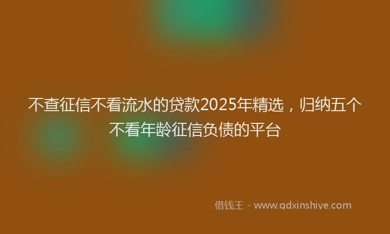 不查征信不看流水的贷款2025年精选,归纳五个不看年龄征信负债的平台