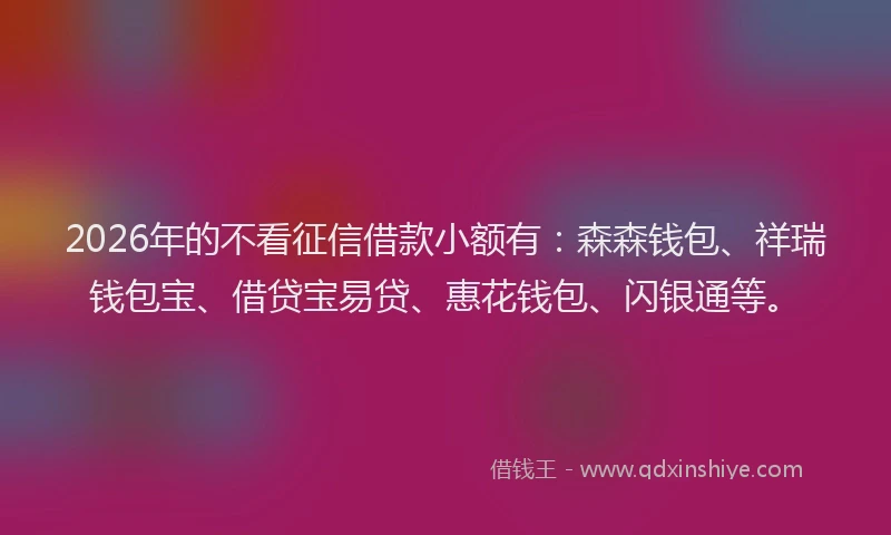 2026年的不看征信借款小额有：森森钱包、祥瑞钱包宝、借贷宝易贷、惠花钱包、闪银通等。