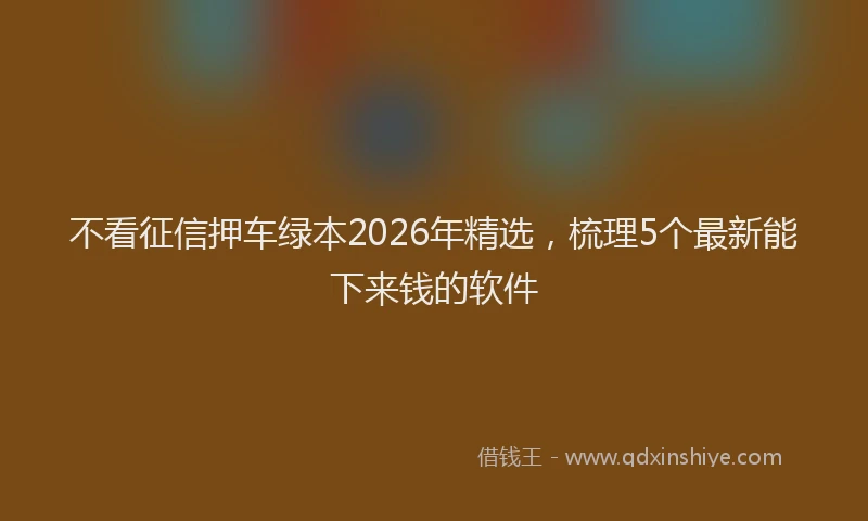 不看征信押车绿本2026年精选，梳理5个最新能下来钱的软件