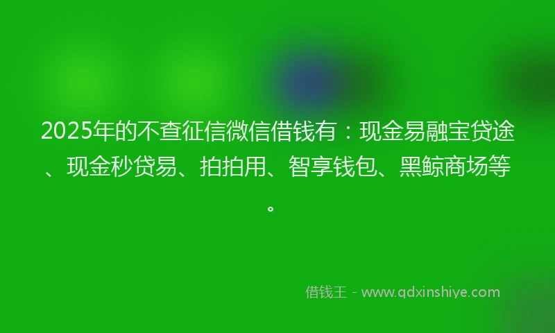 2025年的不查征信微信借钱有：现金易融宝贷途、现金秒贷易、拍拍用、智享钱包、黑鲸商场等。