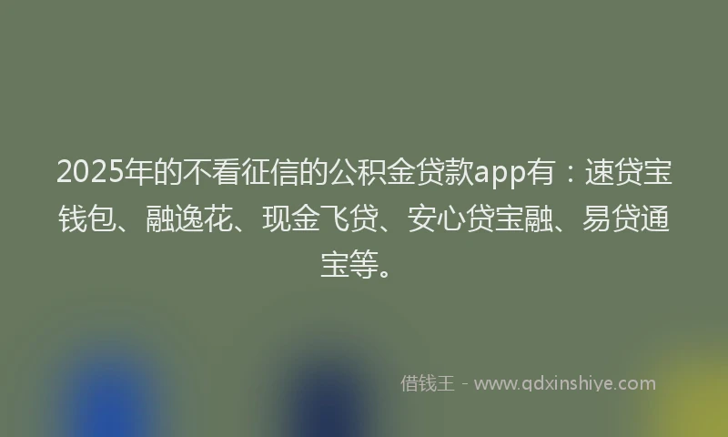 2025年的不看征信的公积金贷款app有：速贷宝钱包、融逸花、现金飞贷、安心贷宝融、易贷通宝等。