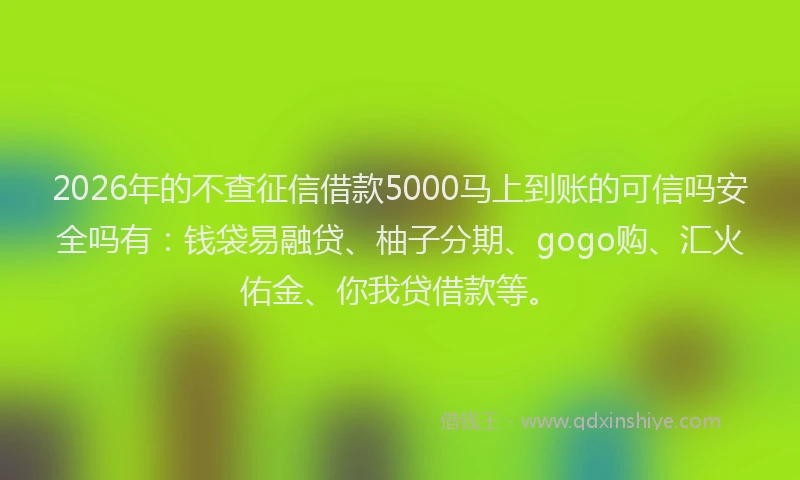 2026年的不查征信借款5000马上到账的可信吗安全吗有：钱袋易融贷、柚子分期、gogo购、汇火佑金、你我贷借款等。