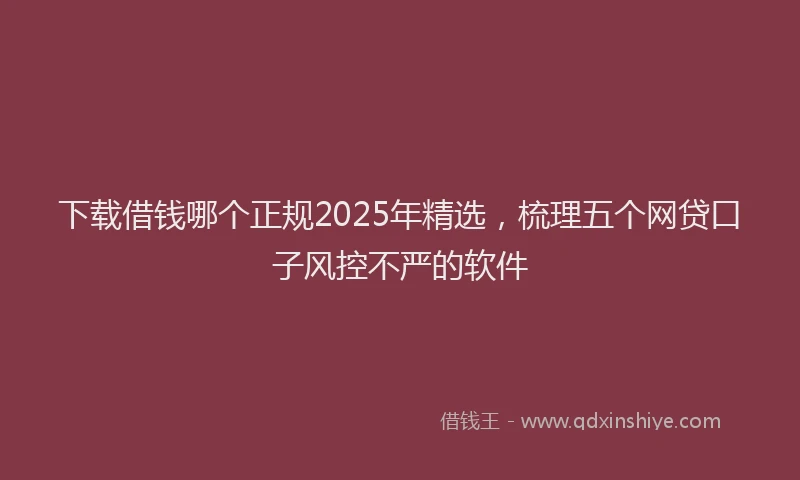 下载借钱哪个正规2025年精选，梳理五个网贷口子风控不严的软件