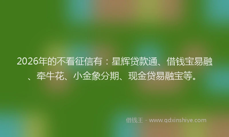 2026年的不看征信有：星辉贷款通、借钱宝易融、牵牛花、小金象分期、现金贷易融宝等。