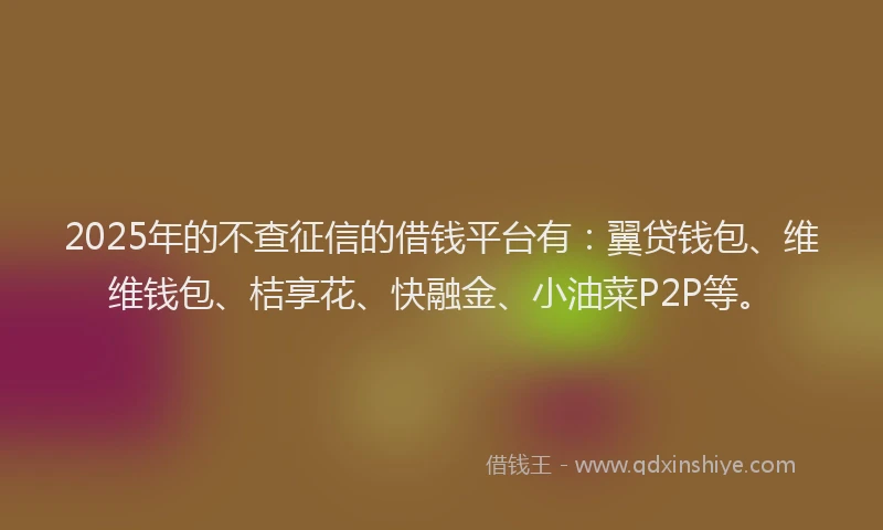 2025年的不查征信的借钱平台有：翼贷钱包、维维钱包、桔享花、快融金、小油菜P2P等。