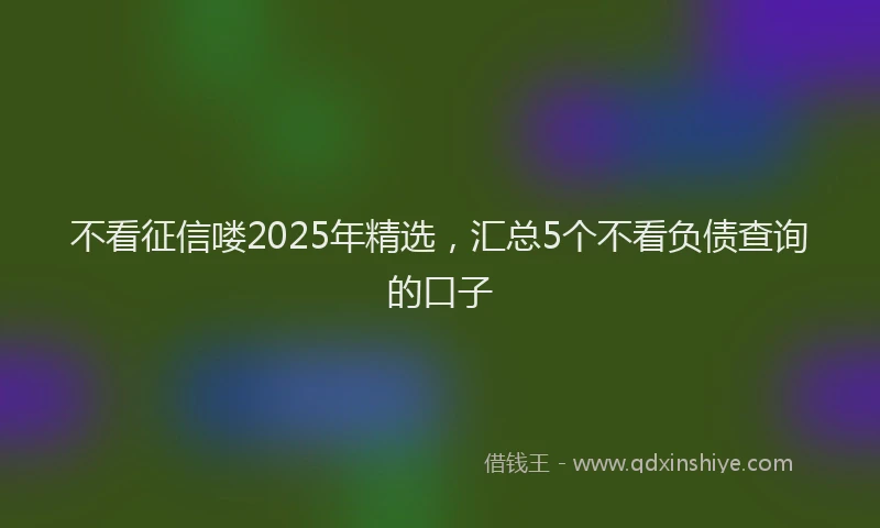 不看征信喽2025年精选，汇总5个不看负债查询的口子