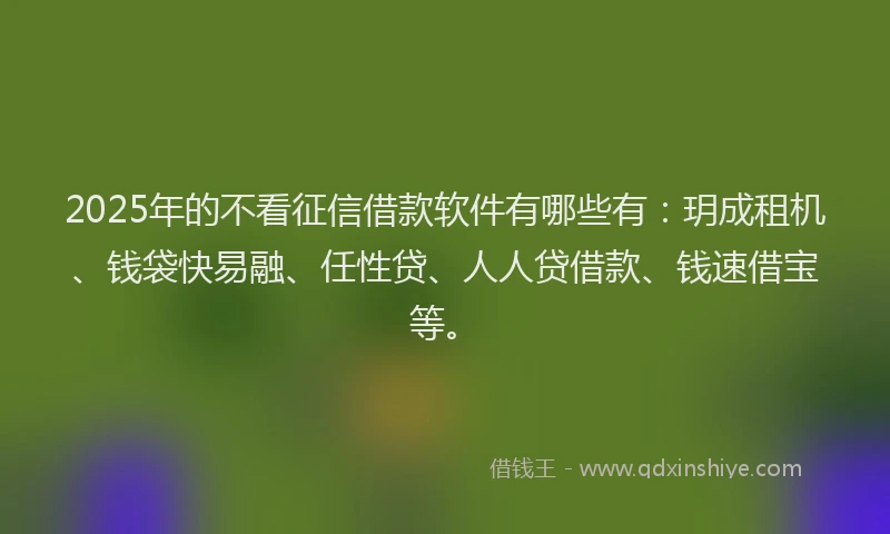2025年的不看征信借款软件有哪些有：玥成租机、钱袋快易融、任性贷、人人贷借款、钱速借宝等。
