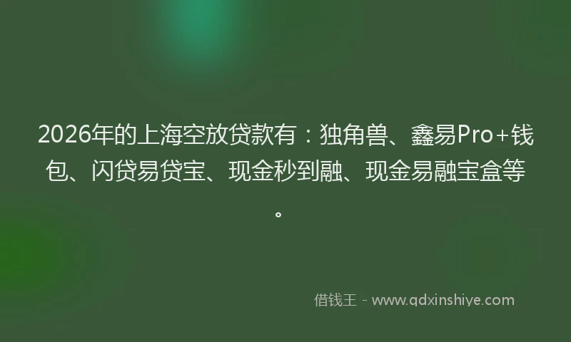 2026年的上海空放贷款有：独角兽、鑫易Pro+钱包、闪贷易贷宝、现金秒到融、现金易融宝盒等。