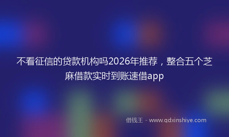 不看征信的贷款机构吗2026年推荐，整合五个芝麻借款实时到账速借app