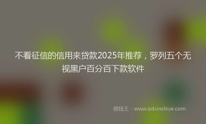 不看征信的信用来贷款2025年推荐，罗列五个无视黑户百分百下款软件