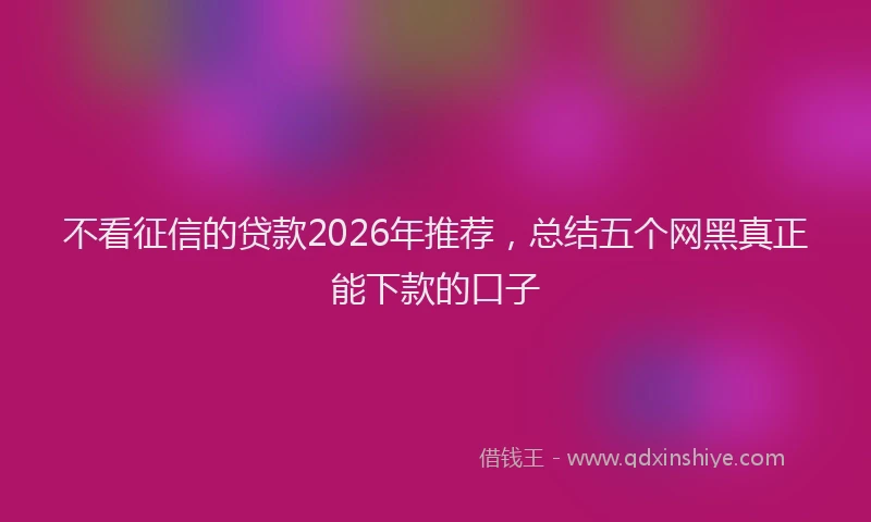 不看征信的贷款2026年推荐，总结五个网黑真正能下款的口子