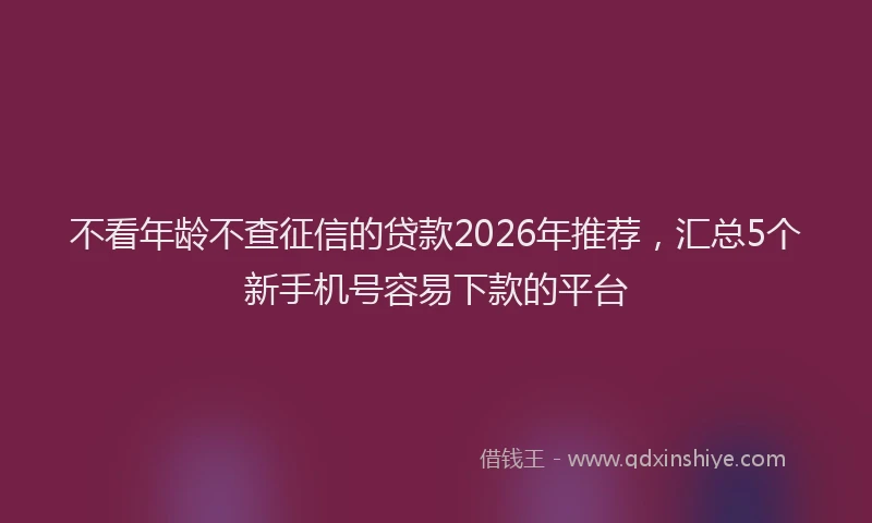 不看年龄不查征信的贷款2026年推荐，汇总5个新手机号容易下款的平台
