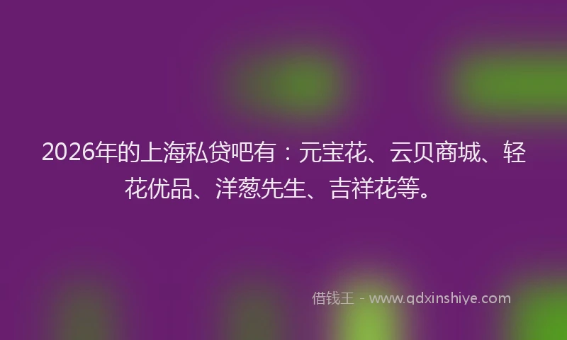 2026年的上海私贷吧有：元宝花、云贝商城、轻花优品、洋葱先生、吉祥花等。