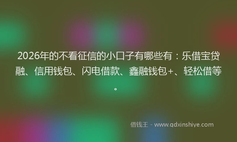 2026年的不看征信的小口子有哪些有：乐借宝贷融、信用钱包、闪电借款、鑫融钱包+、轻松借等。