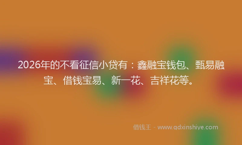 2026年的不看征信小贷有：鑫融宝钱包、甄易融宝、借钱宝易、新一花、吉祥花等。