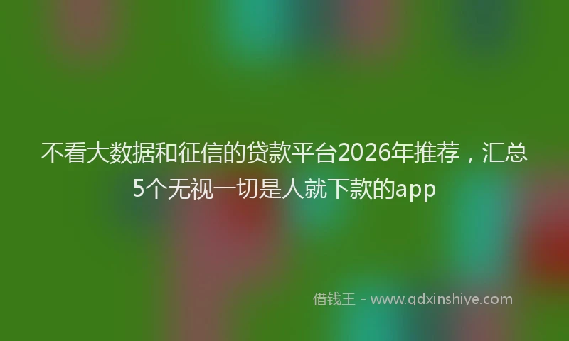 不看大数据和征信的贷款平台2026年推荐，汇总5个无视一切是人就下款的app