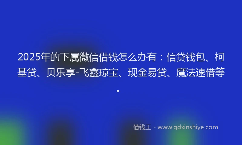 2025年的下属微信借钱怎么办有：信贷钱包、柯基贷、贝乐享-飞鑫琼宝、现金易贷、魔法速借等。