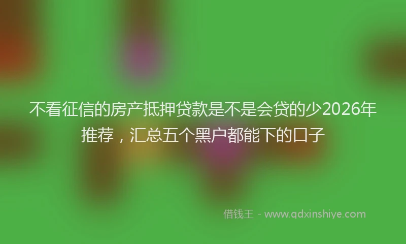 不看征信的房产抵押贷款是不是会贷的少2026年推荐，汇总五个黑户都能下的口子