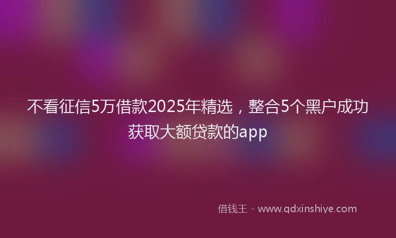 不看征信5万借款2025年精选，整合5个黑户成功获取大额贷款的app