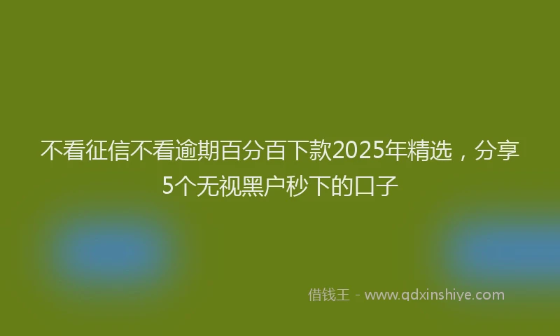 不看征信不看逾期百分百下款2025年精选,分享5个无视黑户秒下的口子