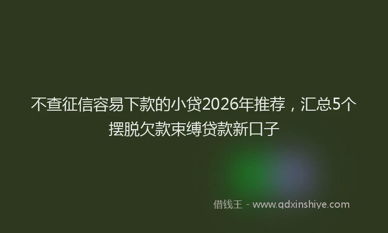 不查征信容易下款的小贷2026年推荐，汇总5个摆脱欠款束缚贷款新口子
