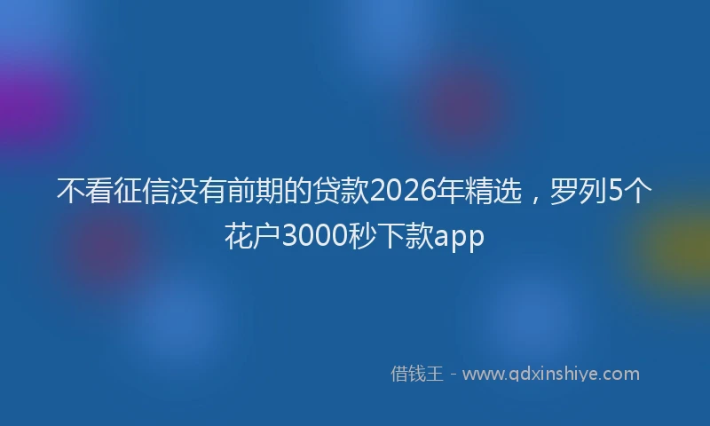 不看征信没有前期的贷款2026年精选，罗列5个花户3000秒下款app