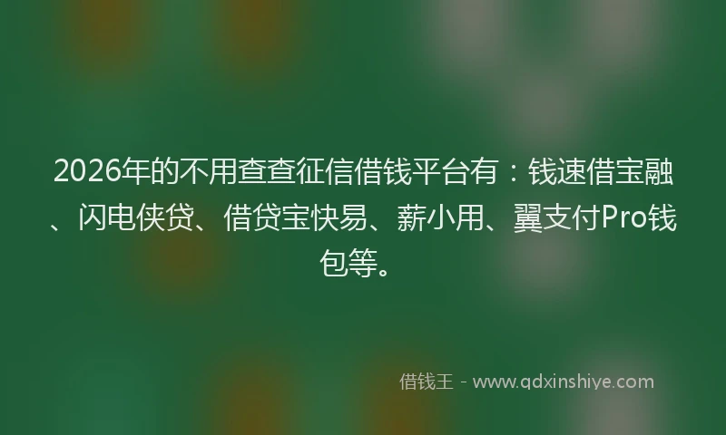 2026年的不用查查征信借钱平台有：钱速借宝融、闪电侠贷、借贷宝快易、薪小用、翼支付Pro钱包等。