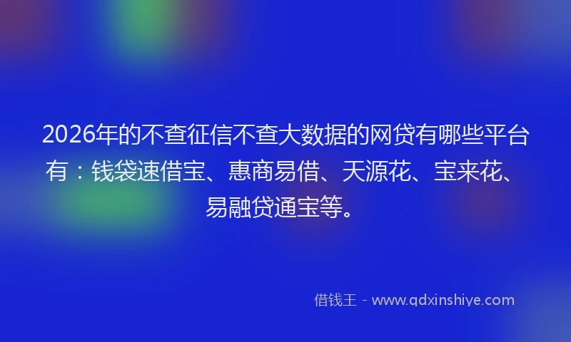 2026年的不查征信不查大数据的网贷有哪些平台有：钱袋速借宝、惠商易借、天源花、宝来花、易融贷通宝等。