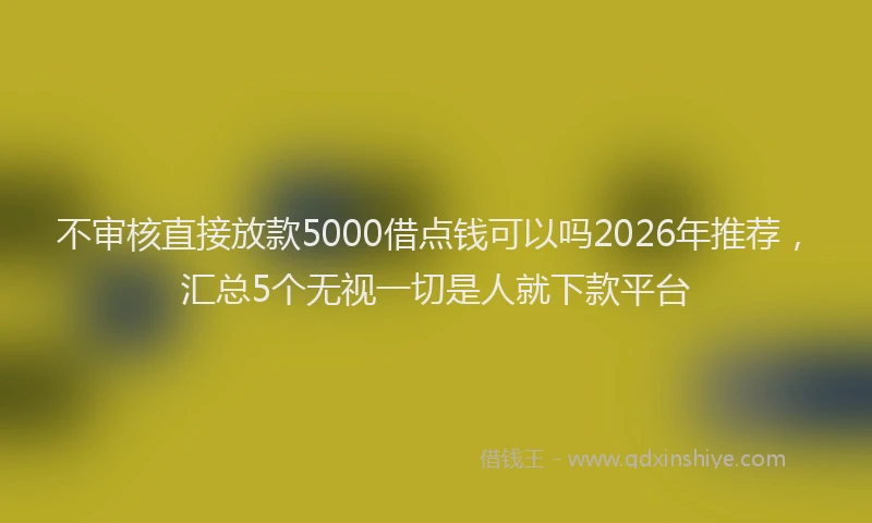 不审核直接放款5000借点钱可以吗2026年推荐，汇总5个无视一切是人就下款平台