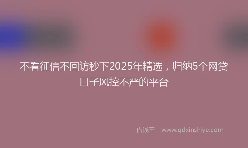 不看征信不回访秒下2025年精选，归纳5个网贷口子风控不严的平台