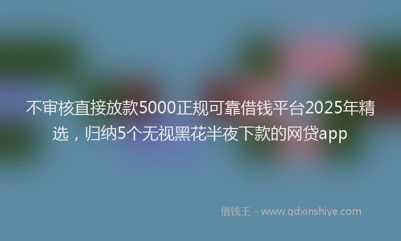 不审核直接放款5000正规可靠借钱平台2025年精选，归纳5个无视黑花半夜下款的网贷app