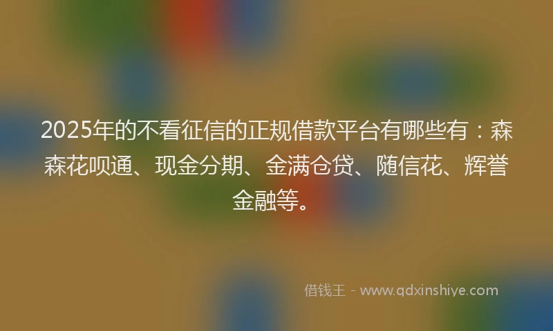 2025年的不看征信的正规借款平台有哪些有:森森花呗通、现金分期、金满仓贷、随信花、辉誉金融等。