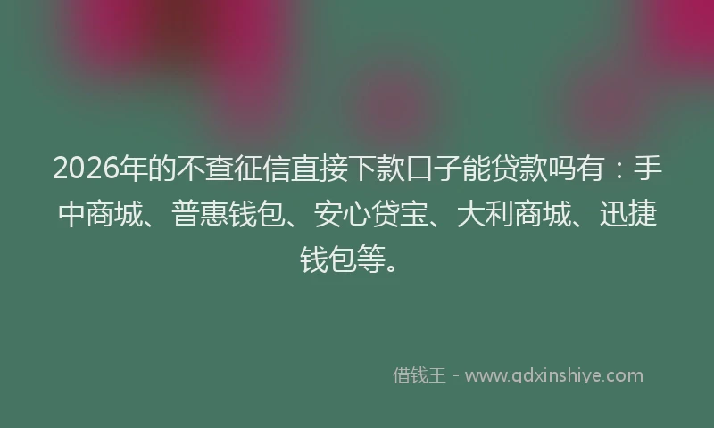 2026年的不查征信直接下款口子能贷款吗有：手中商城、普惠钱包、安心贷宝、大利商城、迅捷钱包等。