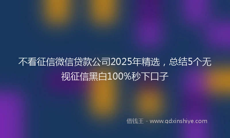 不看征信微信贷款公司2025年精选，总结5个无视征信黑白100%秒下口子