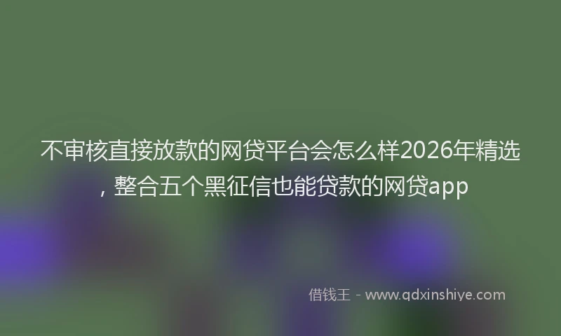 不审核直接放款的网贷平台会怎么样2026年精选，整合五个黑征信也能贷款的网贷app