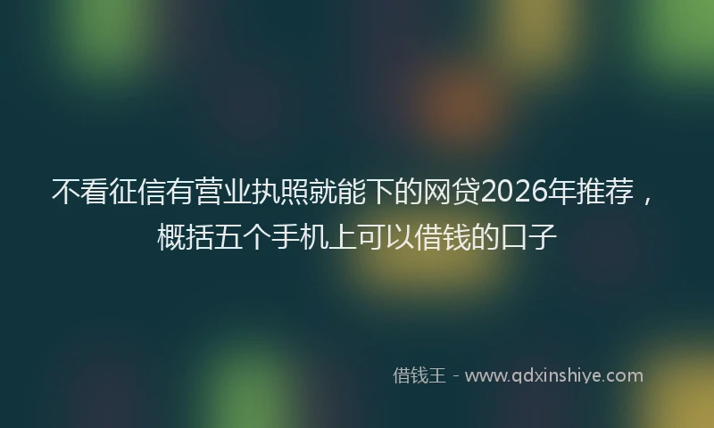 不看征信有营业执照就能下的网贷2026年推荐，概括五个手机上可以借钱的口子